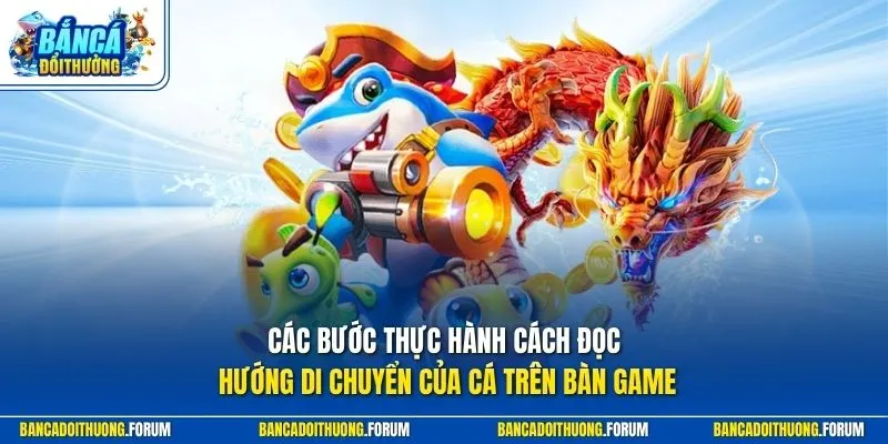 Các bước thực hành cách đọc hướng di chuyển của cá trên bàn game