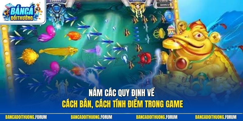 Nắm các quy định về cách bắn, cách tính điểm trong game